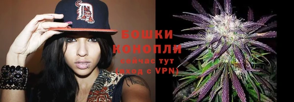 амф Белокуриха