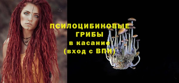 a pvp Новокубанск