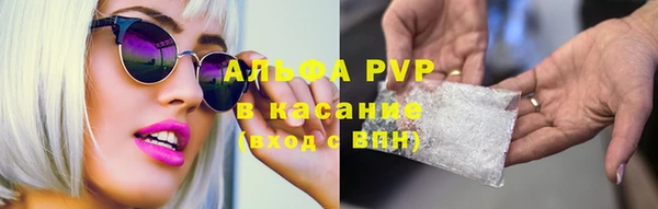 амф Белокуриха