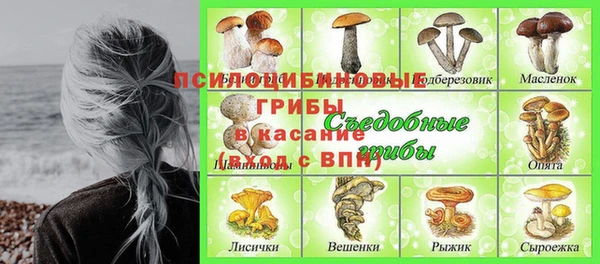 амф Белокуриха