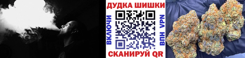 Конопля сатива  Кунгур 